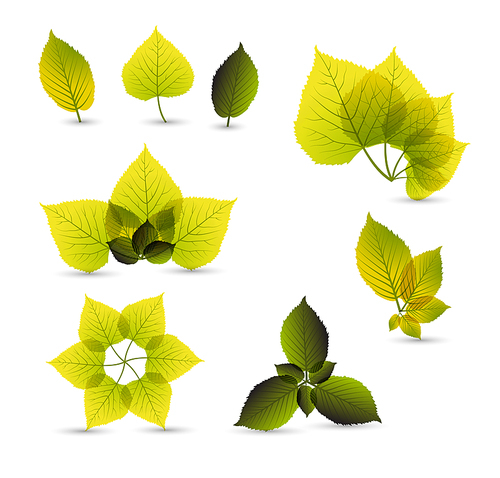 Fresh abstract leaf elements with nice details