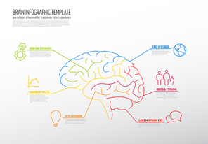 Multipurpose thin line infographic template with human brain and several elements
