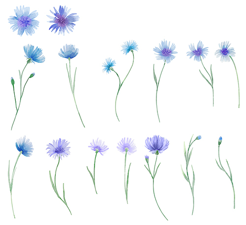 보라색, 파란색 들꽃 그림소스_1