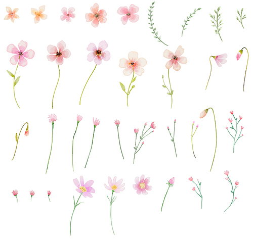 분홍색 들꽃 그림소스
