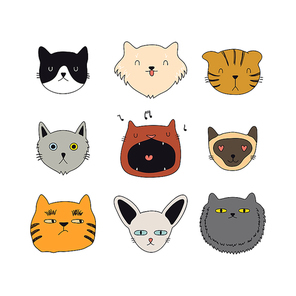 Set of cute funny color doodles of different cats faces. Isolated objects on white background. Hand drawn vector illustration. Line drawing. Design concept for poster, t-shirt, fashion print.