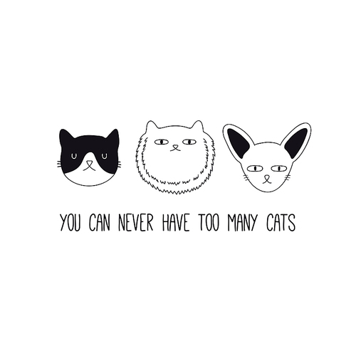 Hand drawn black and white vector illustration of a cute funny cat faces, with quote You can never have too many cats. Isolated objects. Line drawing. Design concept for poster, t-shirt print.