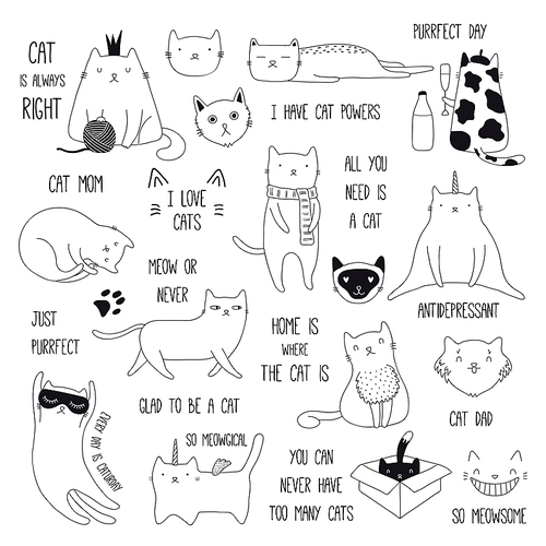 Set of cute funny black and white doodles of different cats and quotes. Isolated objects. Hand drawn vector illustration. Line drawing. Design concept for poster, t-shirt, fashion .