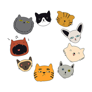 Set of cute funny color doodles of different cats faces. Round frame with copy space. Isolated objects. Hand drawn vector illustration. Line drawing. Design concept for poster, t-shirt .