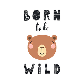 Hand drawn vector illustration of a cute funny bear face, with lettering quote Born to be wild. Isolated objects. Scandinavian style flat design. Concept for children print.