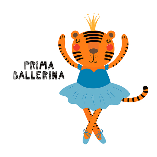 Hand drawn vector illustration of a cute funny tiger girl in a tutu, pointe shoes, with lettering quote Prima ballerina. Isolated objects. Scandinavian style flat design. Concept for children .