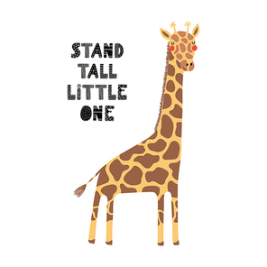 Hand drawn vector illustration of a cute funny giraffe, with lettering quote Stand tall little one. Isolated objects on white background. Scandinavian style flat design. Concept for children print.