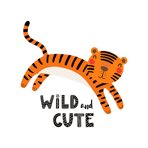 Hand drawn vector illustration of a cute funny tiger, with lettering quote Wild and cute. Isolated objects on white . Scandinavian style flat design. Concept for children .
