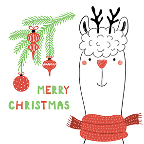 Hand drawn vector illustration of a cute funny llama in a muffler, with deer antlers, tree branch, text Merry Christmas. Isolated objects on white background. Line drawing. Design concept card, invite