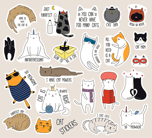 Set of cute funny stickers with color doodles of different cats with quotes. Isolated objects. Hand drawn vector illustration. Line drawing. Design concept for , logo, icon, badge, label, patch.