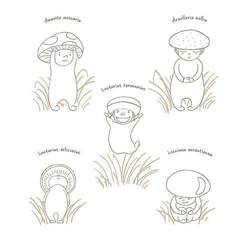 Hand drawn vector illustration of cute mushrooms with Latin names: fly amanita, red capped scaber stalk, honey fungus, woolly milk cap, saffron milk cap. Unfilled outline. Design concept for children.