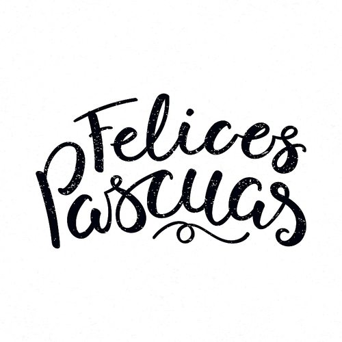 hand written calligraphic lettering quote felices pascuas, happy . in spanish, on a distressed background. hand drawn vector illustration. design concept, element for card, banner, invitation.
