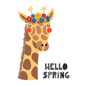 Hand drawn vector illustration of a cute giraffe face in a flower crown, with lettering quote Hello Spring. Isolated objects on white. Scandinavian style flat design. Concept for children print.