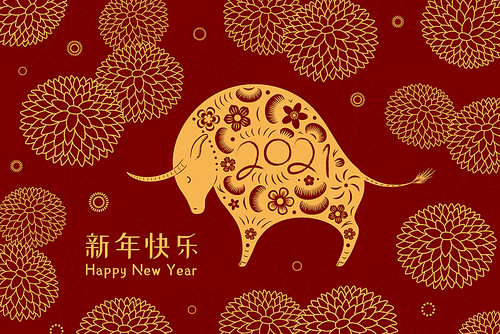 2021 Chinese New Year vector illustration with paper cut ox silhouette, chrysanthemum flowers, Chinese text Happy New Year, gold on red. Flat style design. Concept for card, banner, poster element.