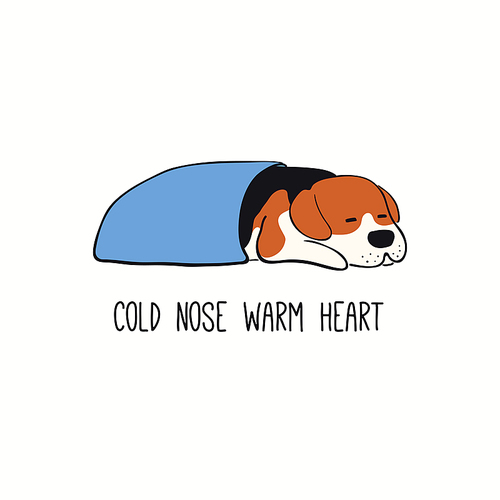 Cute funny sleeping dog, puppy, quote Cold nose warm heart. Hand drawn color vector illustration, isolated on white. Line art. Pet logo, icon. Design concept for trendy poster, t-shirt, fashion .