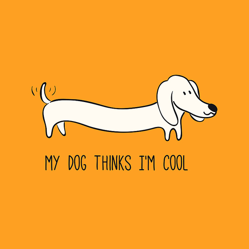 Cute funny dachshund, puppy, quote My dog thinks Im cool. Hand drawn black and white vector illustration, isolated on orange. Line art. Pet logo, icon. Design concept poster, t-shirt, fashion .