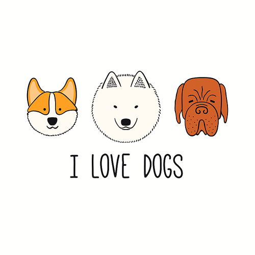 Cute funny corgi, mastiff, Samoyed, puppy faces, quote I love dogs. Hand drawn color vector illustration, isolated on white. Line art. Pet logo, icon. Design concept for poster, t-shirt, fashion