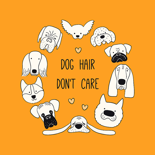 Cute funny different puppy faces round frame, quote Dog hair dont care. Hand drawn black and white vector illustration, isolated on orange. Line art. Design concept pet poster, t-shirt, fashion print.