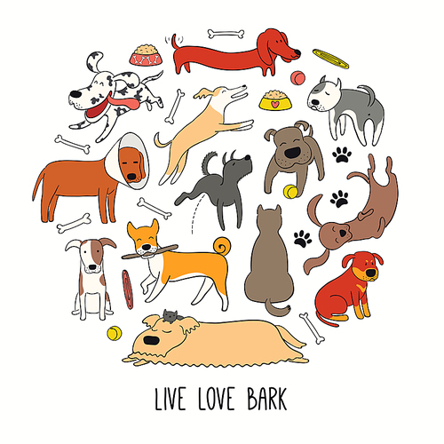 Cute funny different dog, puppy circle design, quote Live love bark. Hand drawn color vector illustration, isolated on white. Line art. Concept for trendy pet poster, t-shirt, fashion .