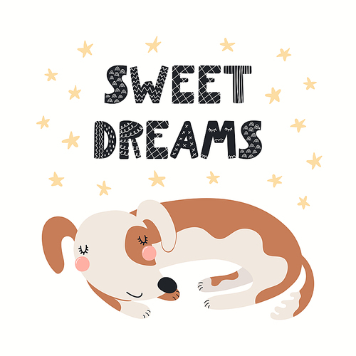 Cute funny dog, puppy, lettering quote Sweet dreams, isolated on white. Hand drawn vector illustration. Scandinavian style flat design. Concept kids fashion, textile , poster, card, baby shower.