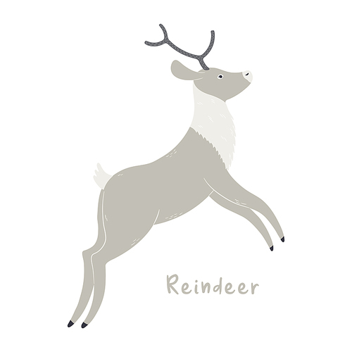 Cute cartoon reindeer, isolated on white. Hand drawn vector illustration. Winter animal character. Arctic wildlife, nature. Design concept for kids fashion, textile , poster, card, baby shower.