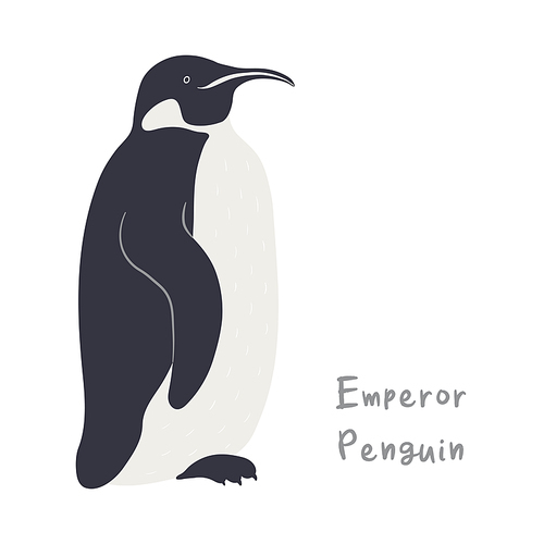 Cute cartoon emperor penguin, isolated on white. Hand drawn vector illustration. Winter animal character. Antarctic wildlife. Design concept for kids fashion, textile , poster, card, baby shower.