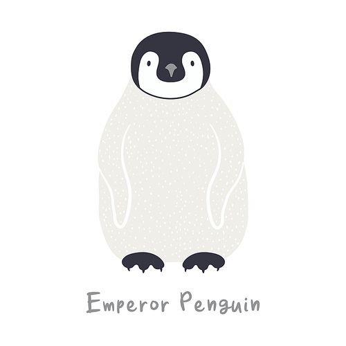 Cute cartoon emperor penguin chick, isolated on white. Hand drawn vector illustration. Winter animal character. Antarctic wildlife. Design concept for kids fashion , poster, card, baby shower.