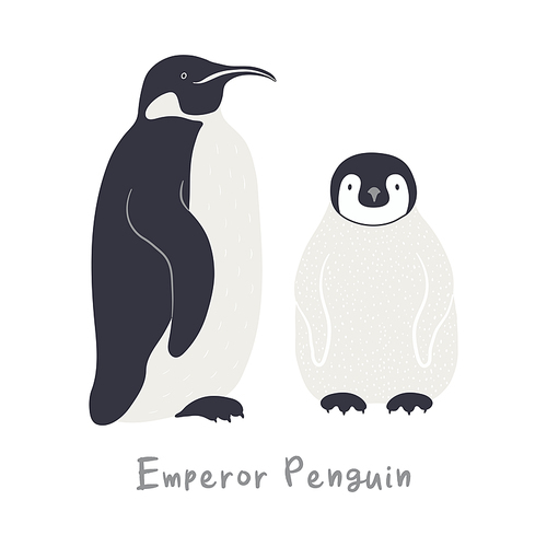 Cute cartoon emperor penguins, isolated on white. Hand drawn vector illustration. Winter animal character. Antarctic wildlife. Design concept for kids fashion, textile , poster, card, baby shower