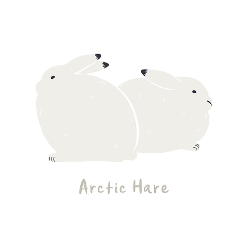 Cute cartoon arctic hares, isolated on white. Hand drawn vector illustration. Winter animal character. Arctic wildlife, nature. Design concept kids fashion, textile , poster, card, baby shower.