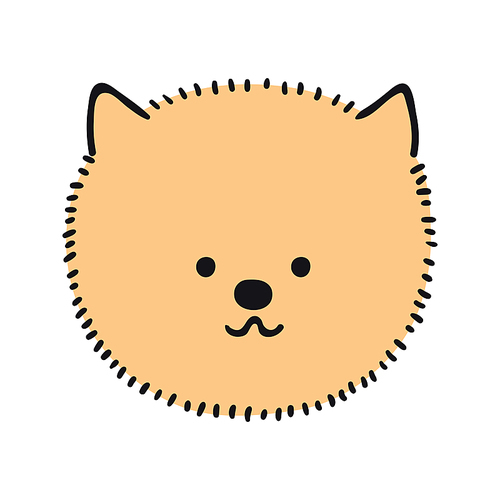 Pomeranian spitz dog, puppy face cute funny cartoon character illustration. Hand drawn vector, isolated. Line art. Domestic animal logo. Design concept pet food, branding, business, vet, print, poster