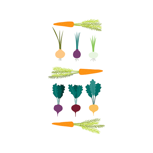 Carrots, beetroots, onions hand drawn illustration. Cartoon style flat design, isolated vector. Summer, autumn harvest, farmer market print element, farming, gardening, healthy, vegetarian food