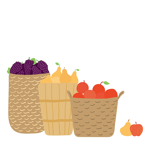 Baskets with pears, apples, grapes hand drawn illustration. Cartoon style flat design, isolated vector. Summer, autumn harvest, farmer market print element, farming, gardening, healthy, vegan food