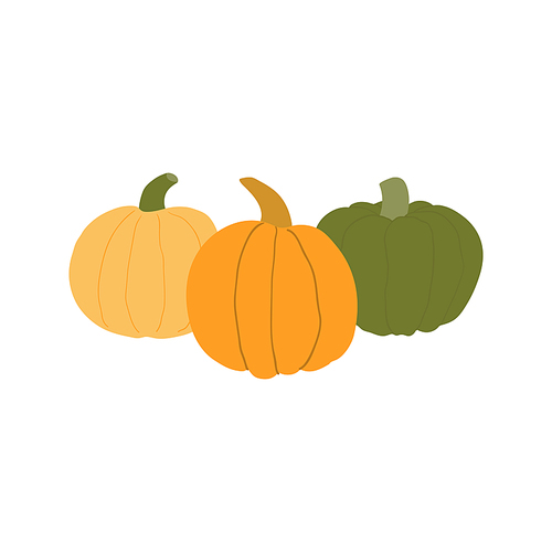 Different pumpkins hand drawn illustration. Cartoon style flat design, isolated vector. Summer, autumn harvest, farmer market print element, farming, gardening, healthy, vegetarian food