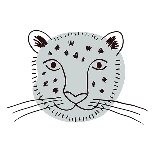 Cute snow leopard face hand drawn cartoon character illustration, sketch. Line art, drawing style design, isolated vector. Tropical animal, jungle wildlife, big cats, safari, nature, print element