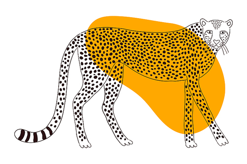 Cute walking cheetah hand drawn cartoon character illustration, sketch. Line art, drawing style design, isolated vector. Tropical animal, jungle wildlife, big cats, safari, nature, print element