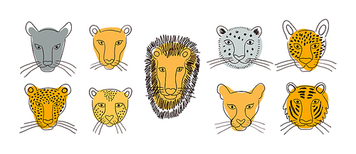 Big cats faces isolated collection, abstract shapes. Lion, tiger, leopard, jaguar, panther, cougar, cheetah. Hand drawn vector illustration. Line art style design. Animal characters, wildlife clipart