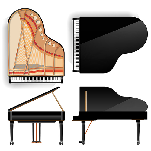 Black Grand Piano Set Icon Vector With Shadow. Realistic Keyboard. Isolated Illustration. Top And Back View