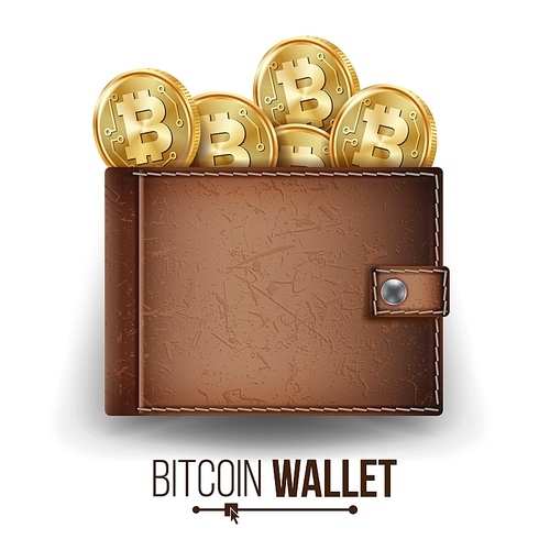 Bitcoin Wallet Vector. Brown Color. Abstract Technology Bitcoin. Cryptography Finance Coin Icons. Full Wallet. Modern Wallet. Bitcoin Gold Coins. Isolated Illustration