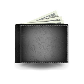 full wallet vector.  color. classic modern leather wallet. dollar banknotes. isolated illustration