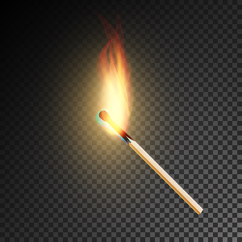 Realistic Burning Match Vector. Matchstick Flame. Transparency Grid