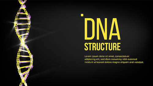 Dna Structure Vector. Chemistry Cover. Strand Sequence Illustration