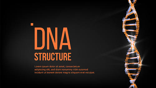 Dna Structure Vector. Abstract Helix. Futuristic Code Illustration