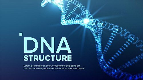 Dna Structure Vector. Human Genome. Genetic Molecule. Strand Sequence Illustration