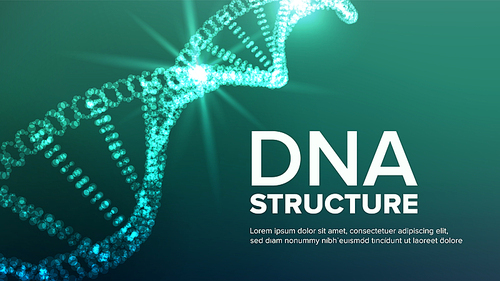 Dna Structure Vector. Science Background. Biotechnology Concept. Human Genome Illustration