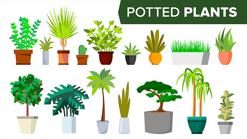 Potted Plants Set Vector. Indoor Home, Office Modern Style Houseplants. Green Color Plants In Pot. Various. Floral Interior Icon. Decoration Design Element. Isolated Illustration
