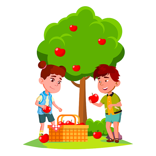 Kids Harvest Apples In Basket Near Apple Tree Vector. Illustration