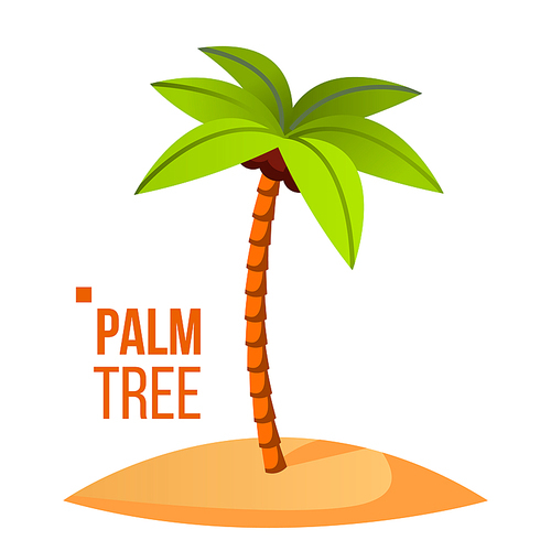 Palm Tree Vector. Green Leaf. Tropical Sand Beach. Isolated Cartoon Illustration