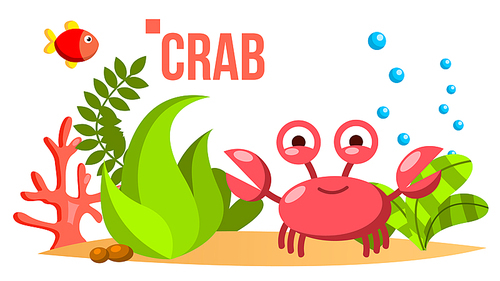 Crab Vector. Sea, Ocean Bottom With Seaweed And Fish. Isolated Cartoon Illustration
