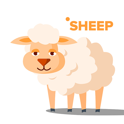 Sheep Vector. Funny Animal Isolated Cartoon Illustration