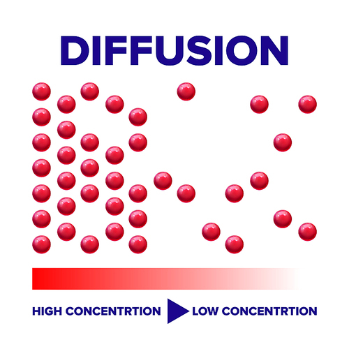 Diffusion Physics Process Vector Info Poster Template. High, Low Concentration Diffusion. Scientific Experiment. Atoms, Molecules Movement. Reverse Osmosis Water Treatment System Flat Illustration